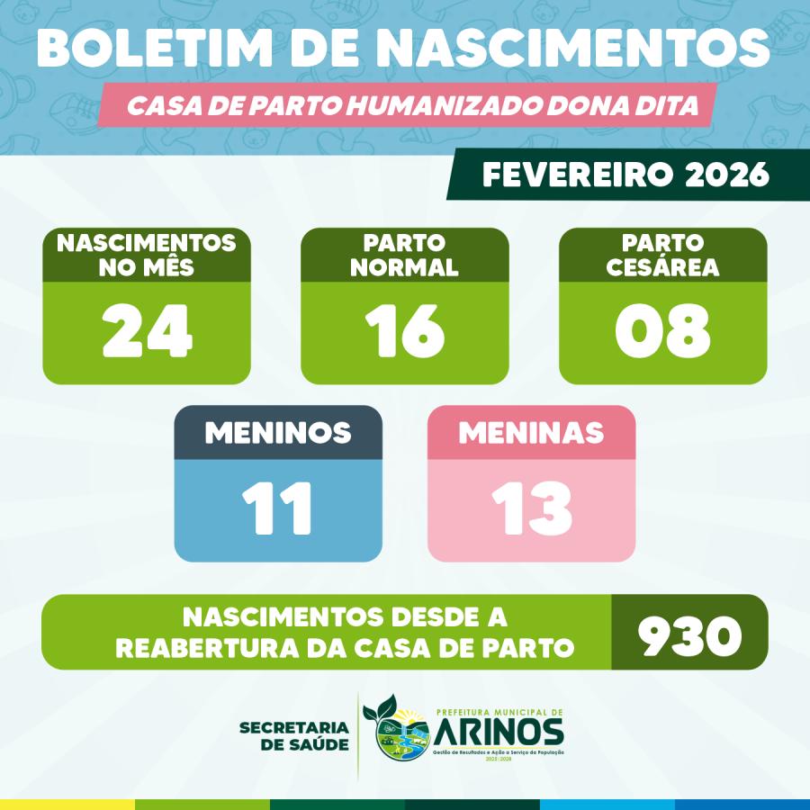 Boletim nascimento maternidade de Arinos